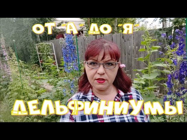 Дельфиниумы от "А" до "Я".