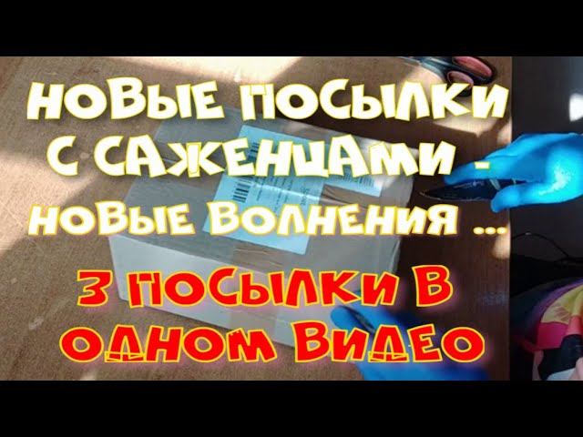 Новые посылки новые - переживания.  Русский огород