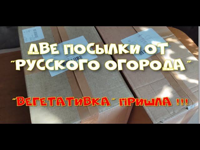 2 посылки от "Русского огорода". Пришла "вегетативка"!
