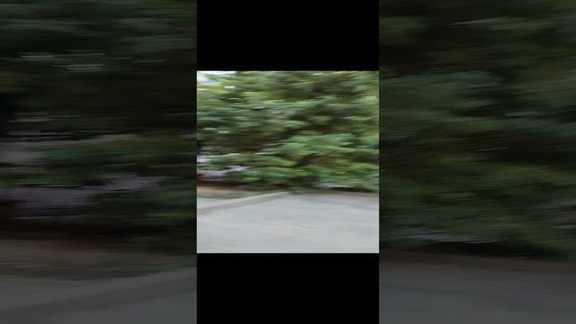 Двор легендарного магазина Castle rock