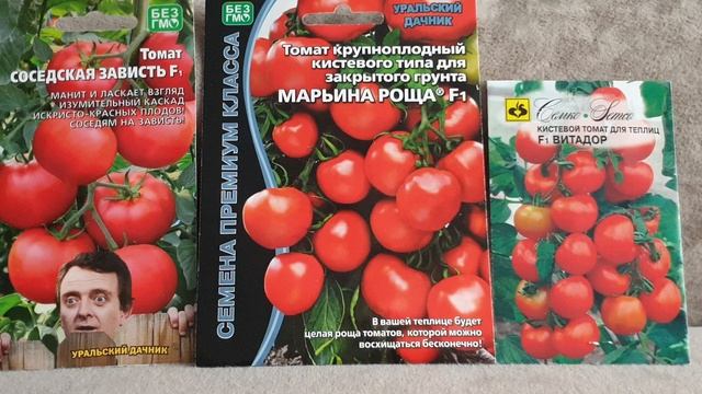 Эти Томаты завалят вас МЕГА урожаем в 2025 году. Жалею, что сажала мало, исправим.