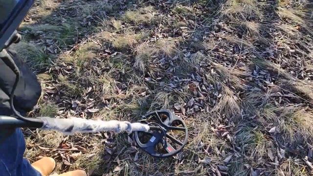 Осенняя прогулка с металлоискателем  Эквинокс 600 Ч 3