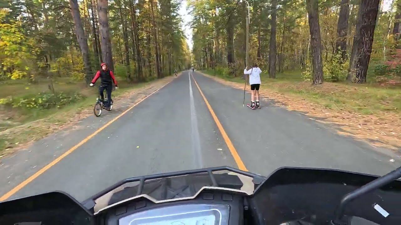 Мужик с палкой стоит.Лыжероллер едет на тарант. оз.Лебяжье. GOPRO 13