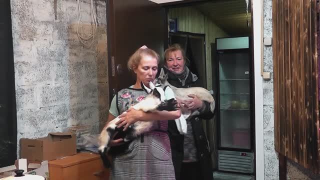 ПОТЕРЯШКА БЛОГЕР НАШЛАСЬ ВЫ ЕЕ ПОМНИТЕ