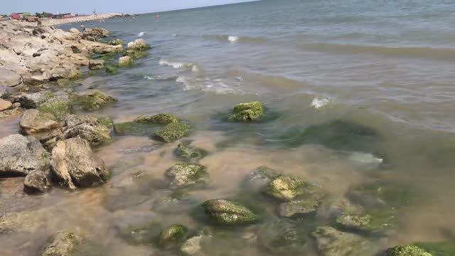 Каспийское море Каспийск и отдых на каспии.