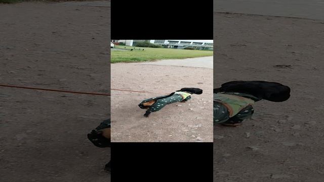 Бони в новом комбезе