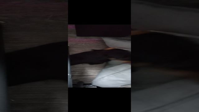 Разборки с лежанкой