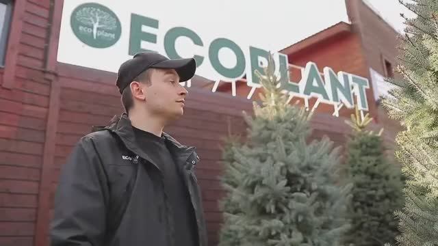 "Короче говоря" рекомендует питомник растений ЭКОПЛАНТ