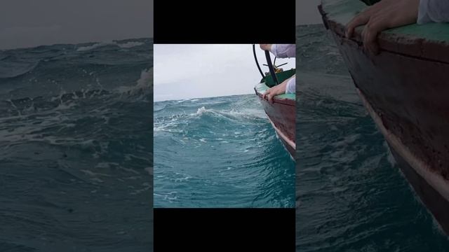 Плывём из тюрьмы в шторм