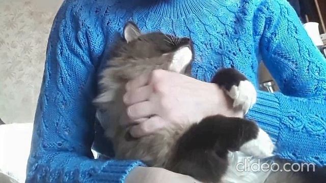 Так гладить или нет?.. (из серии "НАШ ЗООПАРК")