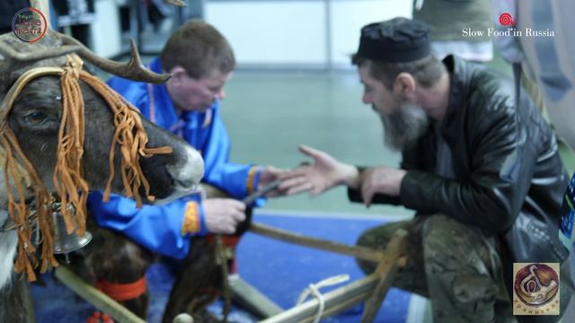 Terra Madre Дикоросы Конкурс  hd