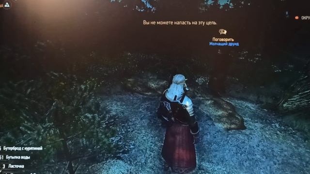 Ведьмак 3. Задание Шоковая терапия.