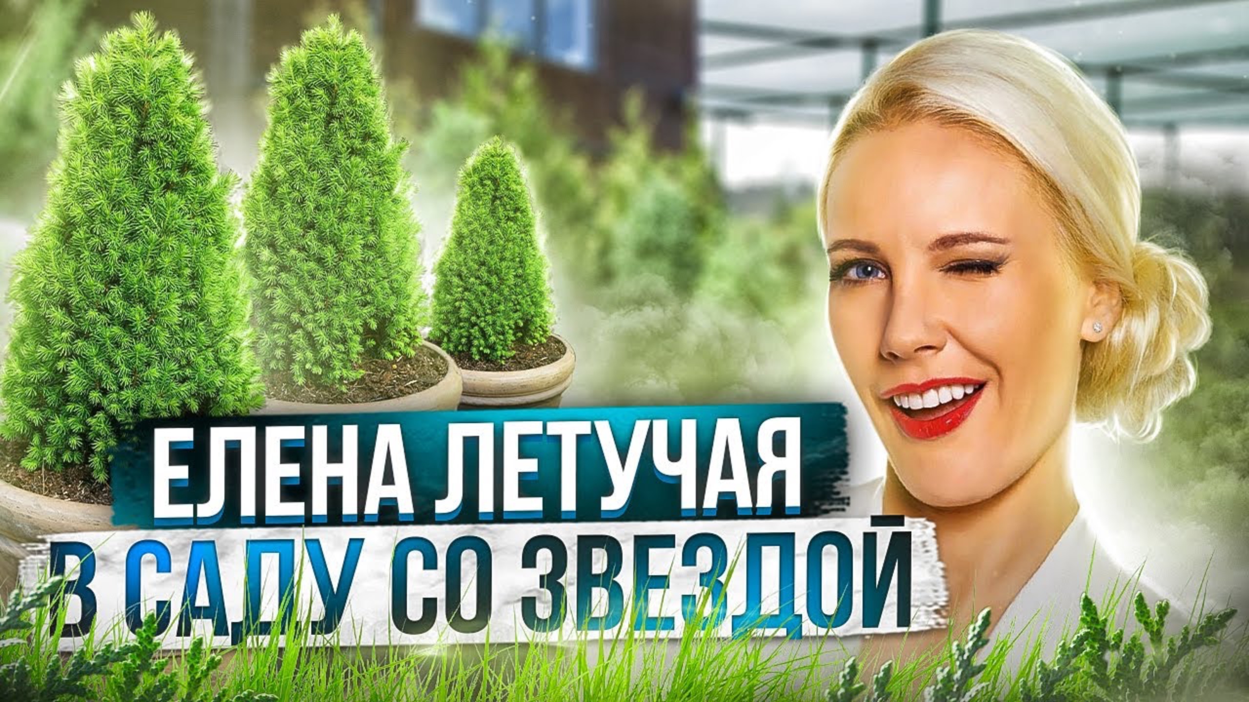 Елена ЛЕТУЧАЯ рекомендует питомник растений Экоплант