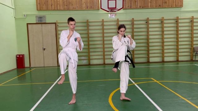 Элементы ударной техники/удар ногой