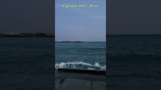 8 декабря 2024 г. Волнение #ялта2024 #море
