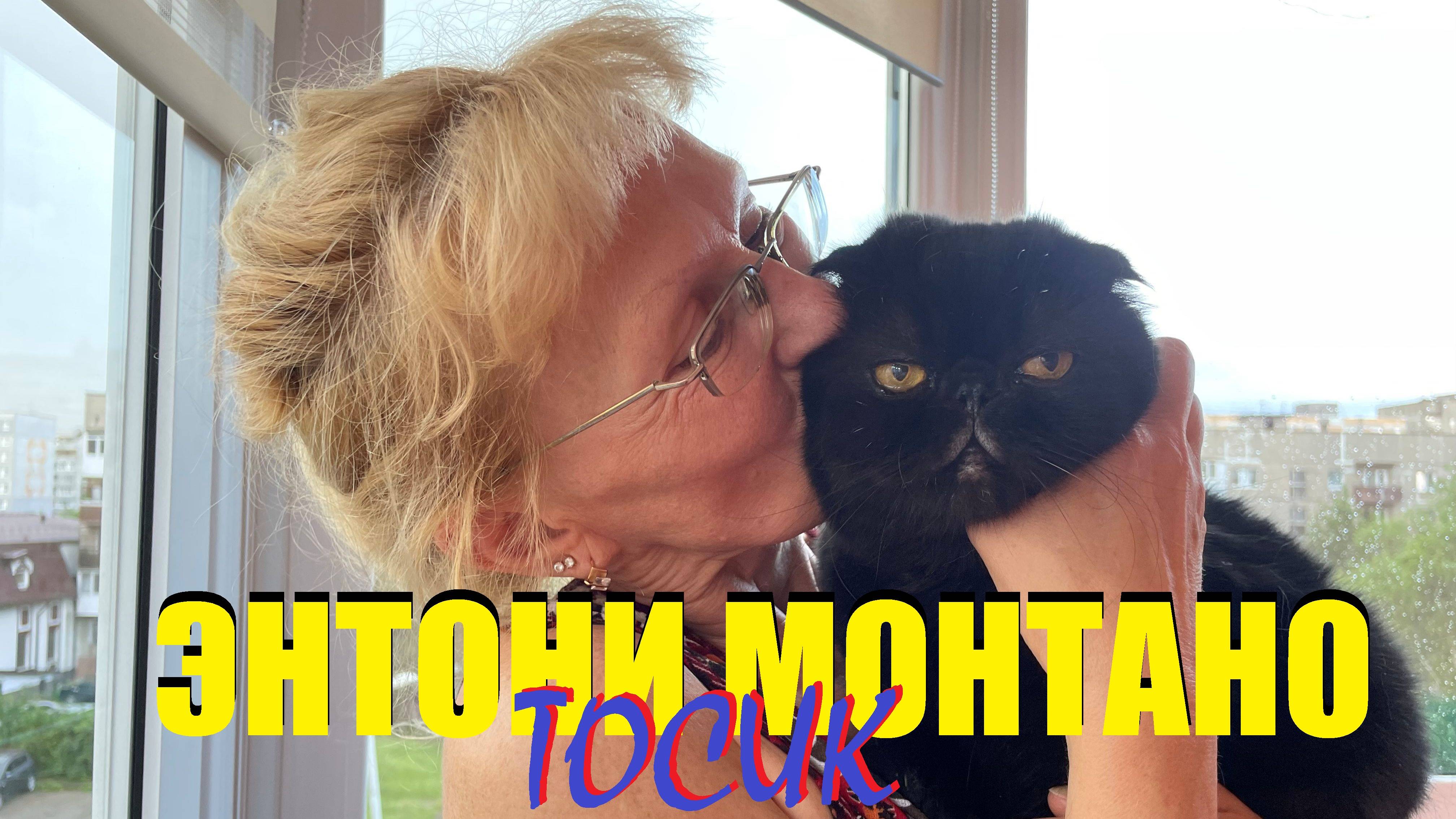 Шотландец,пенсионер Энтони МОНТАНО.Самый счастливый кот страны,а может и мира.Жизнь ради счастья.