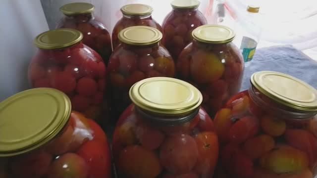 ПОМИДОРНЫЙ ШОК!!!