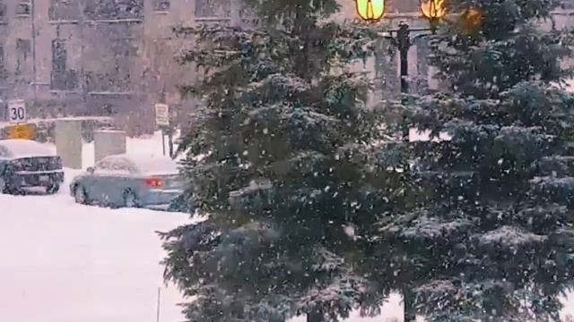 Новогодняя история. Счастье из сугроба. Рассказ