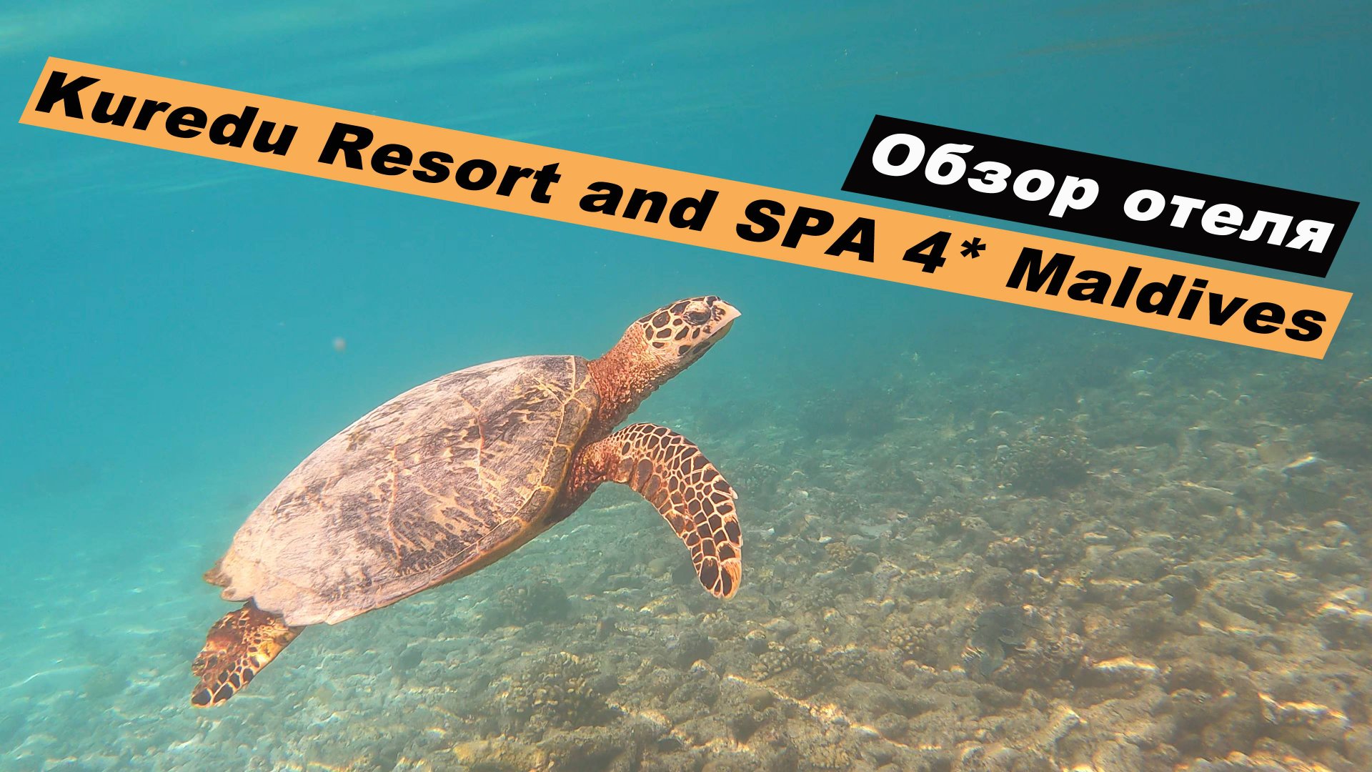 Обзор отеля Куреду Исланд Резорт 4*, Мальдивы. Hotel Kuredu Resort and SPA 4*, Maldives.