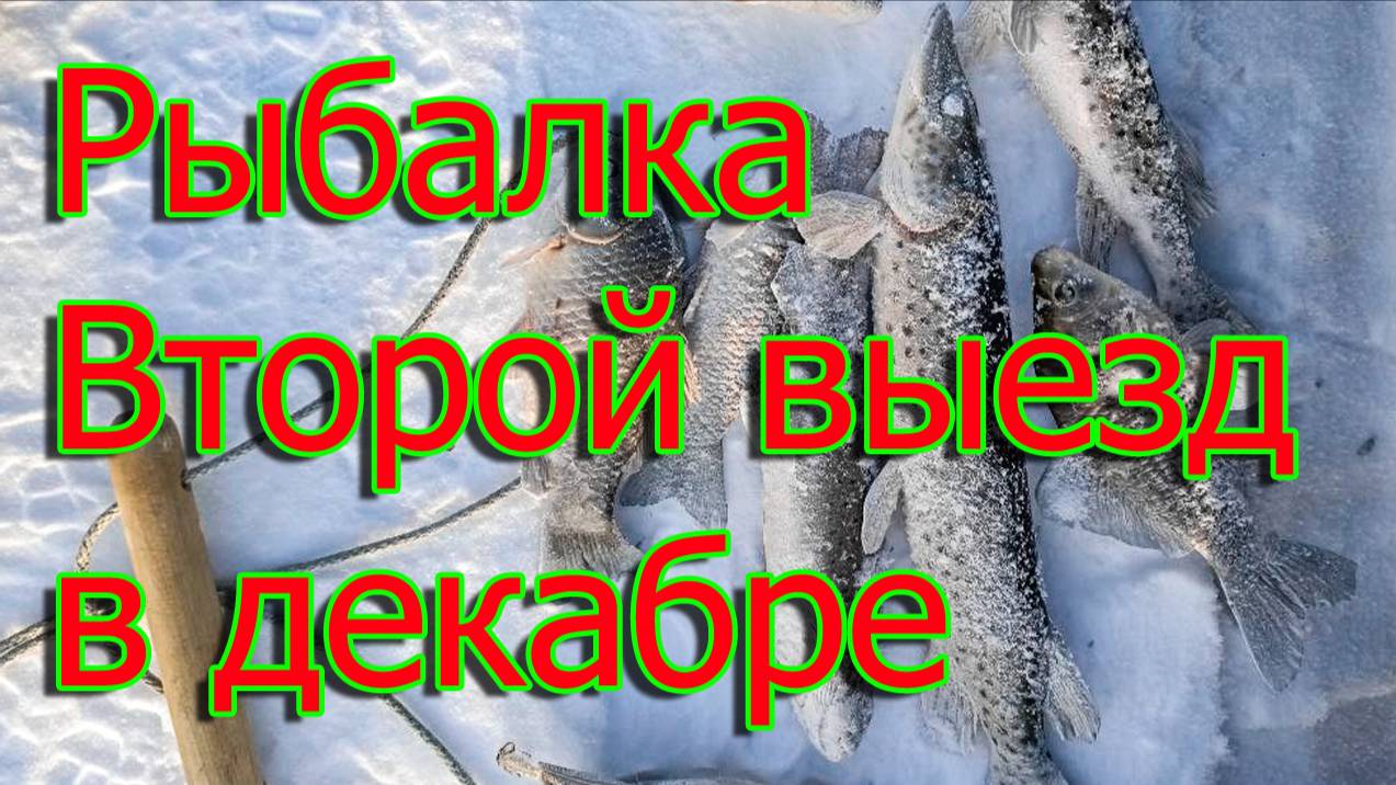 Второй выезд на рыбалку в декабре🐟❄️🌲
