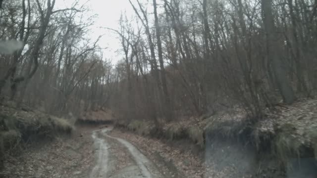 Дорога к заброшенному хутору Семеновский. Воскресенский район.