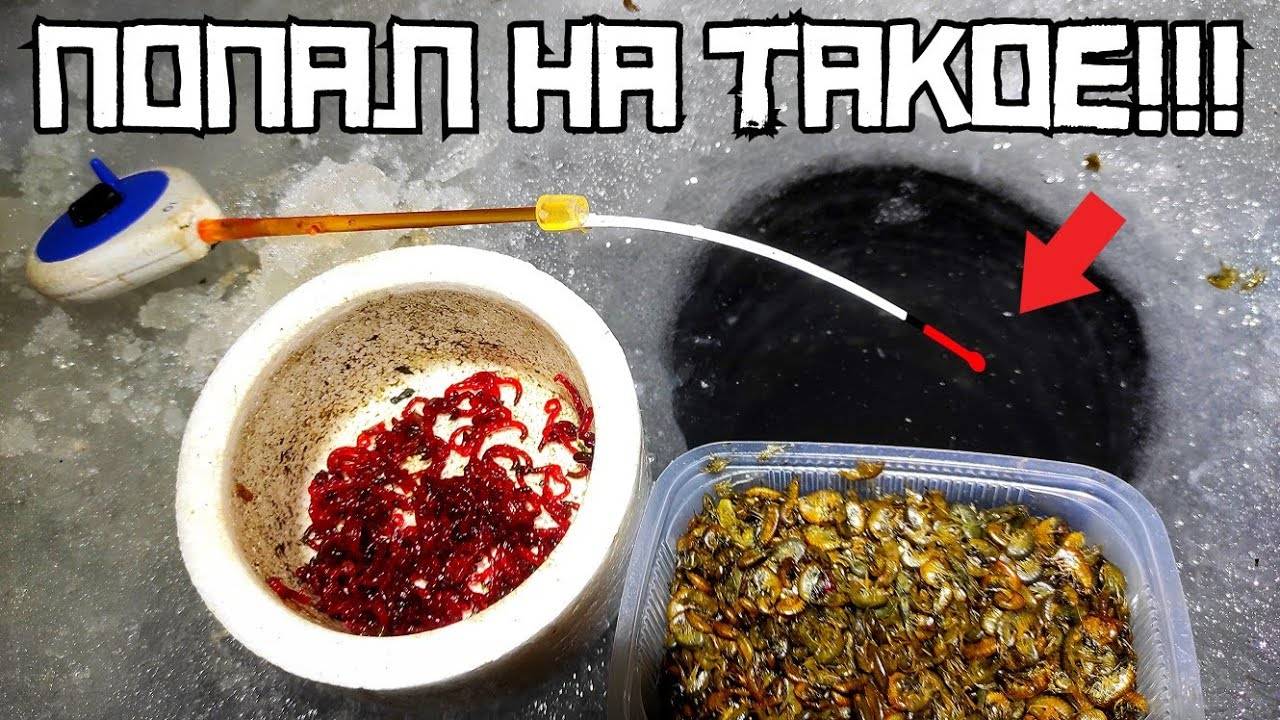 НАРВАЛСЯ НА КОШМАР! Не думал, что будет ТАКОЙ КЛЁВ! Сложная рыбалка в декабре 2024.