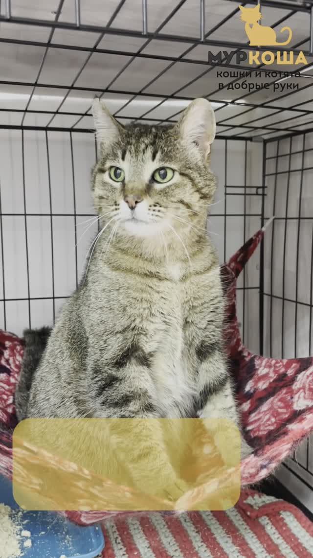 Харитон (уже дома)