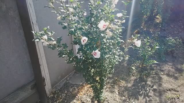 ОСЕНЬ ЗОЛОТАЯ!