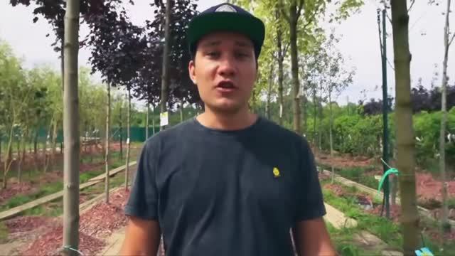 Саша Аморал Алоя Вера рекомендует Экоплант