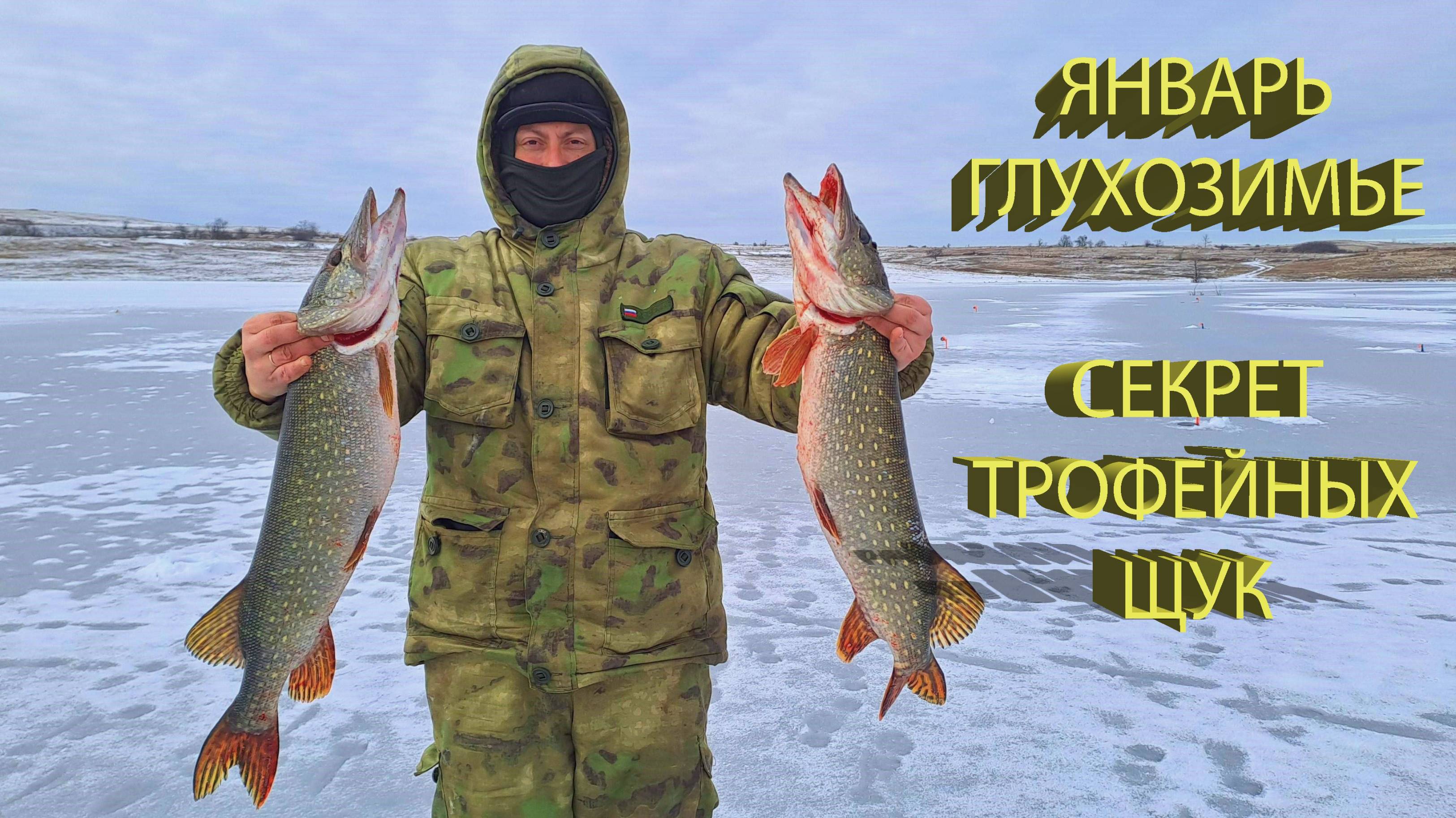 🔥 Наловил ТРОФЕЙНЫХ ЩУК - в чем секрет? Ловля ОСТОРОЖНОЙ щуки на ЖЕРЛИЦЫ с деликатной оснасткой 🔥