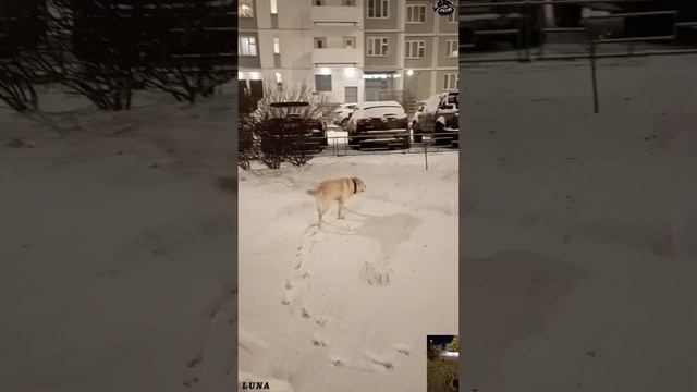 По-свежачку...