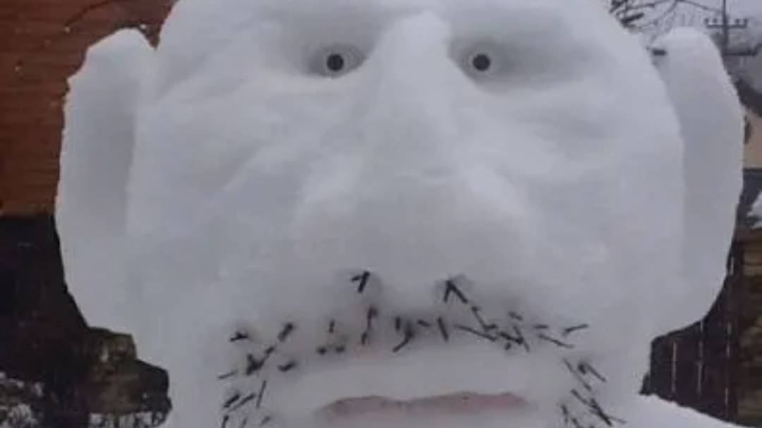 РУССКИЙ СНЕГ 25