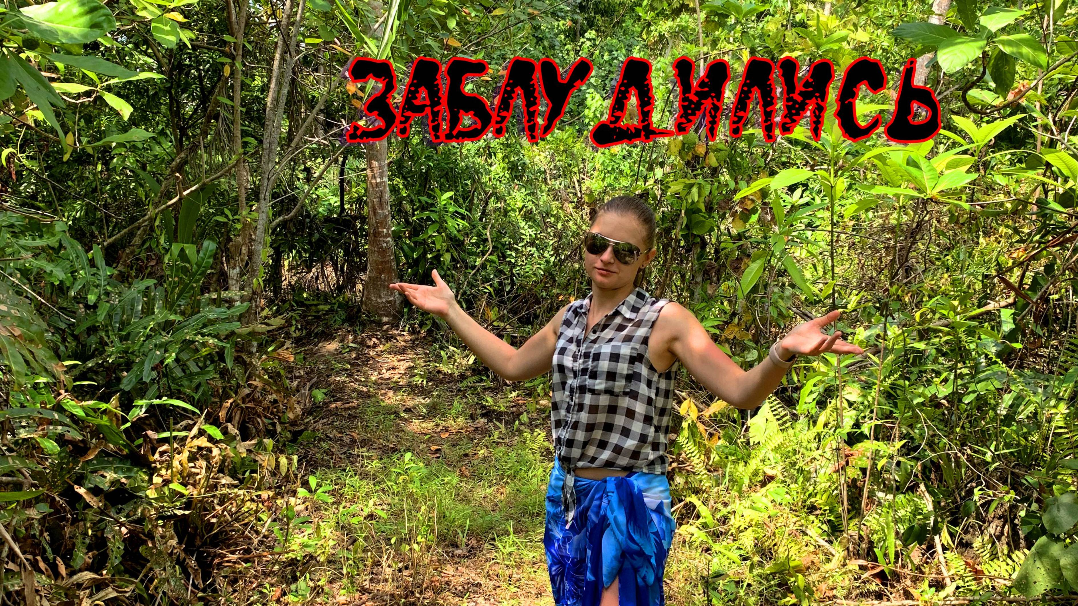 Заблудились в джунглях на острове