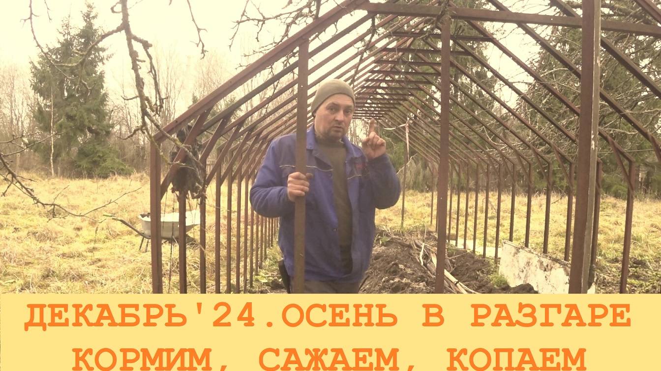 2024 Декабрь. Продолжение "осенних" работ в деревенском саду.