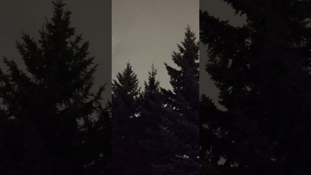 9.12.24 АЗ #ниднябезрифмы