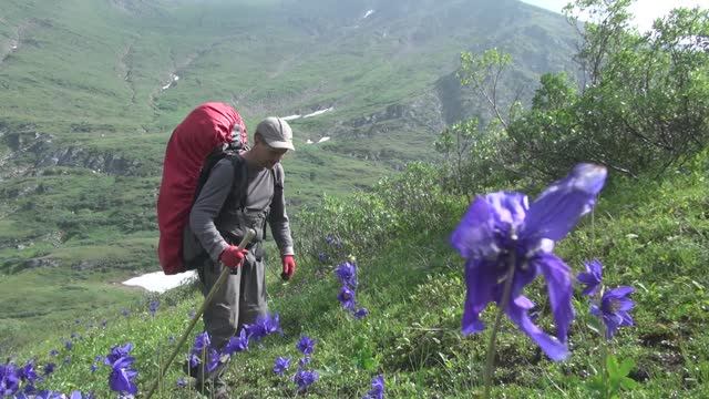 Топо эль Тофо. В самое сердце. Часть 4.