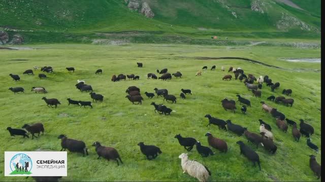 Эльбрус. Семейная экспедиция в семейном лагере #эльбрус #путешествиясдетьми #семейныйотдых