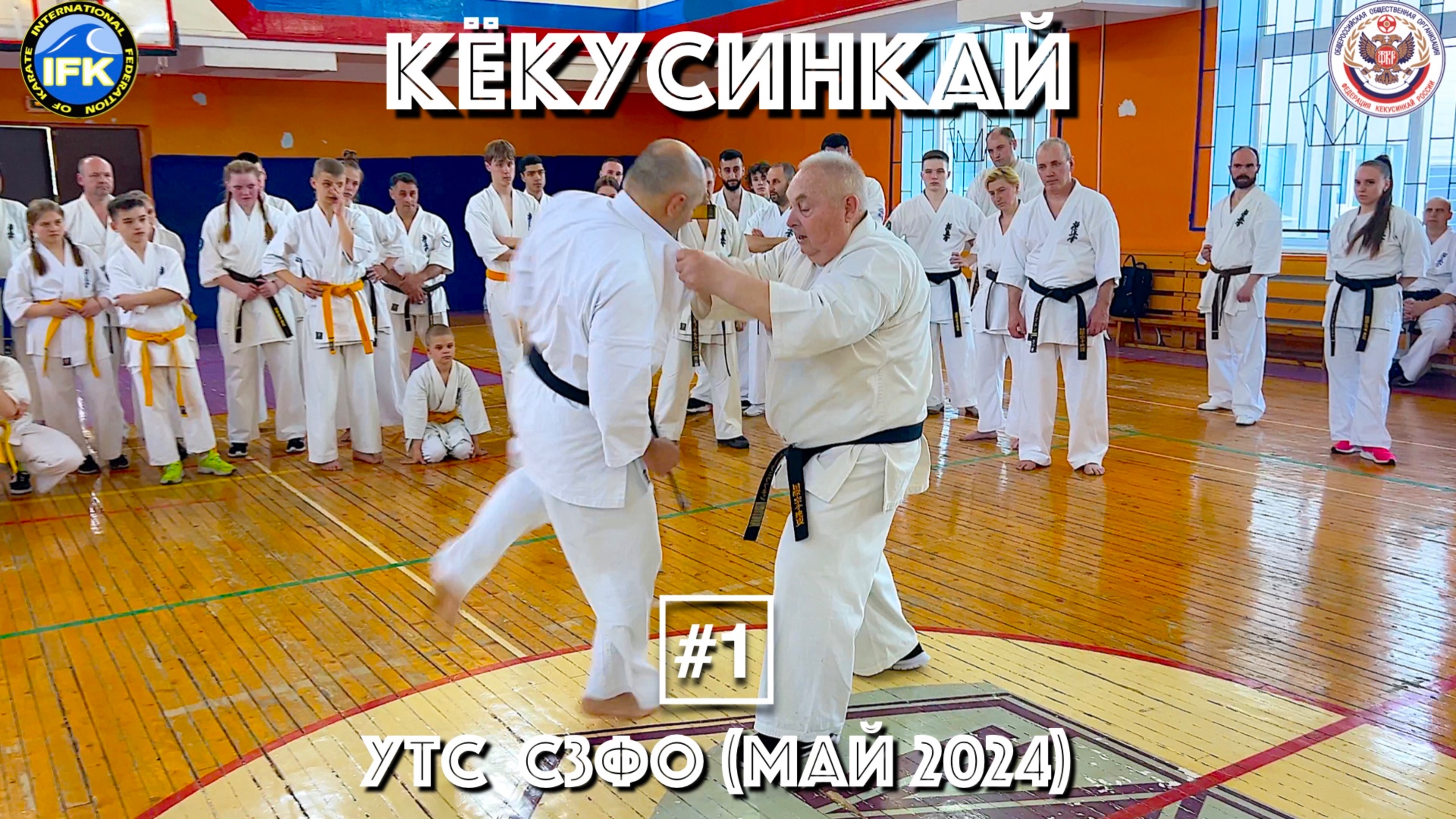 Кёкусинкай / Учебно-тренировочные сборы СЗФО / Сихан Танюшкин / Санкт-Петербург (май 2024) #1