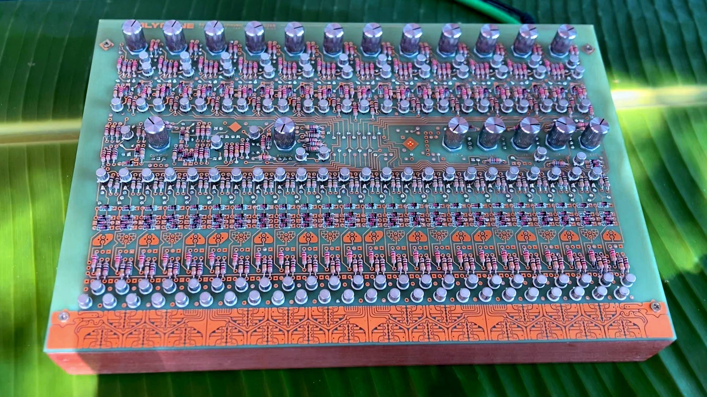 Gene Synths Polygene Teaser