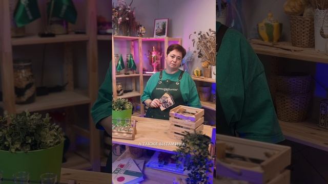 ЗНАКОМЬТЕСЬ - ЛИСТОВАЯ ГОРЧИЦА