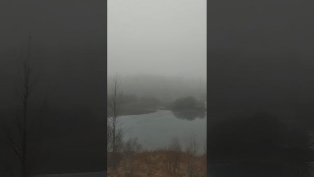 28.11.24 #ниднябезрифмы