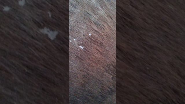 8.12.24 АЗ #ниднябезрифмы