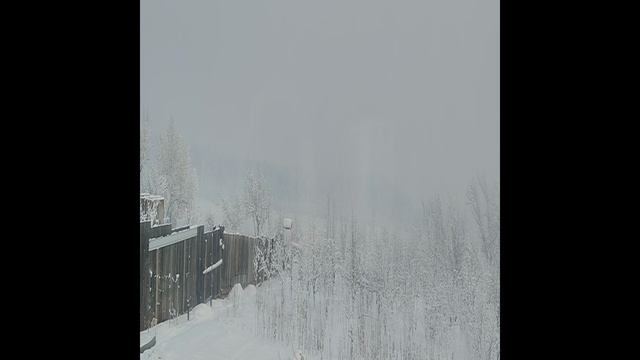 Лукавство известного садовода.Валерия Железова.