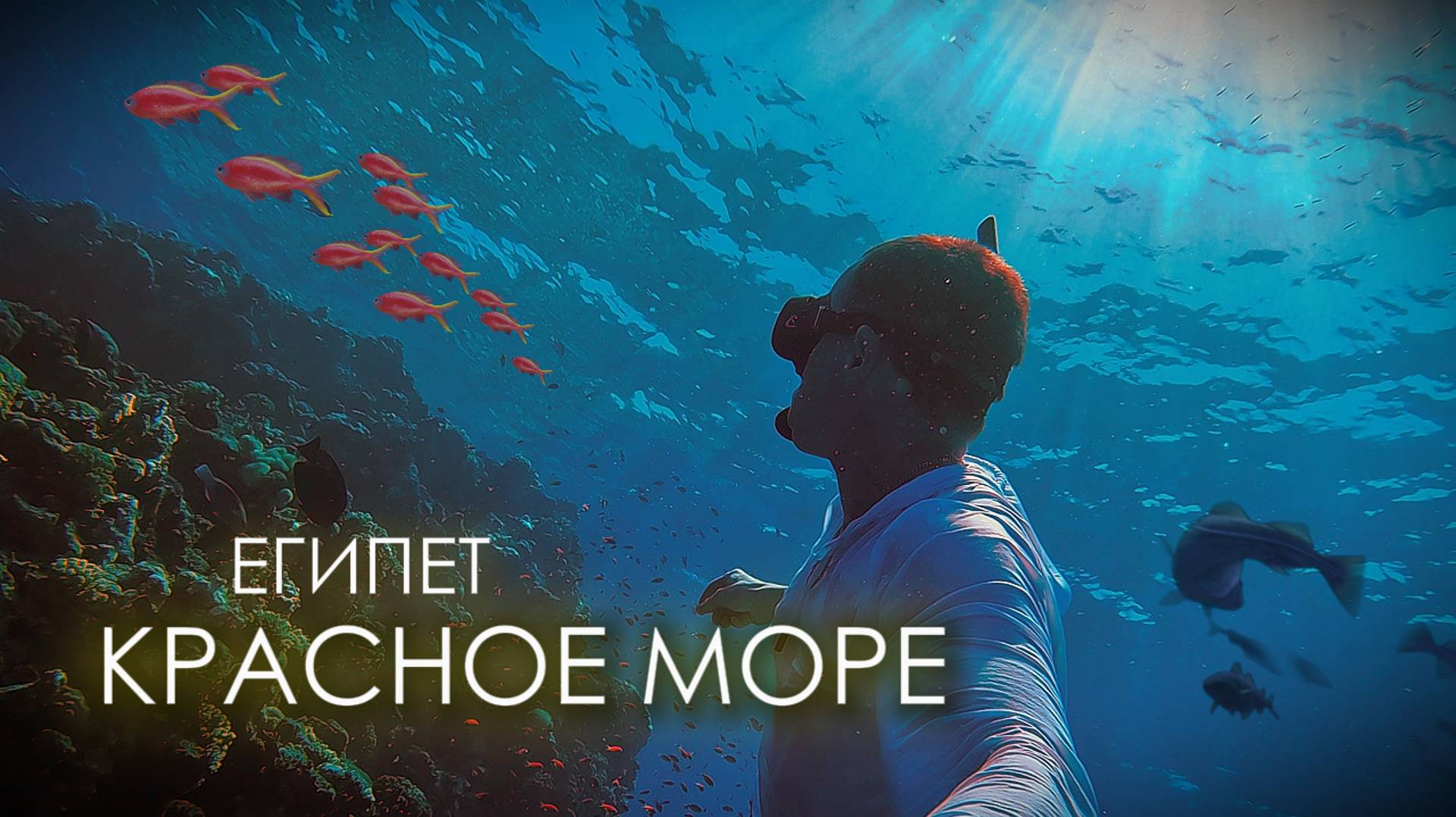 Рифы возле отеля Park Regency. Шарм эль Шейх.