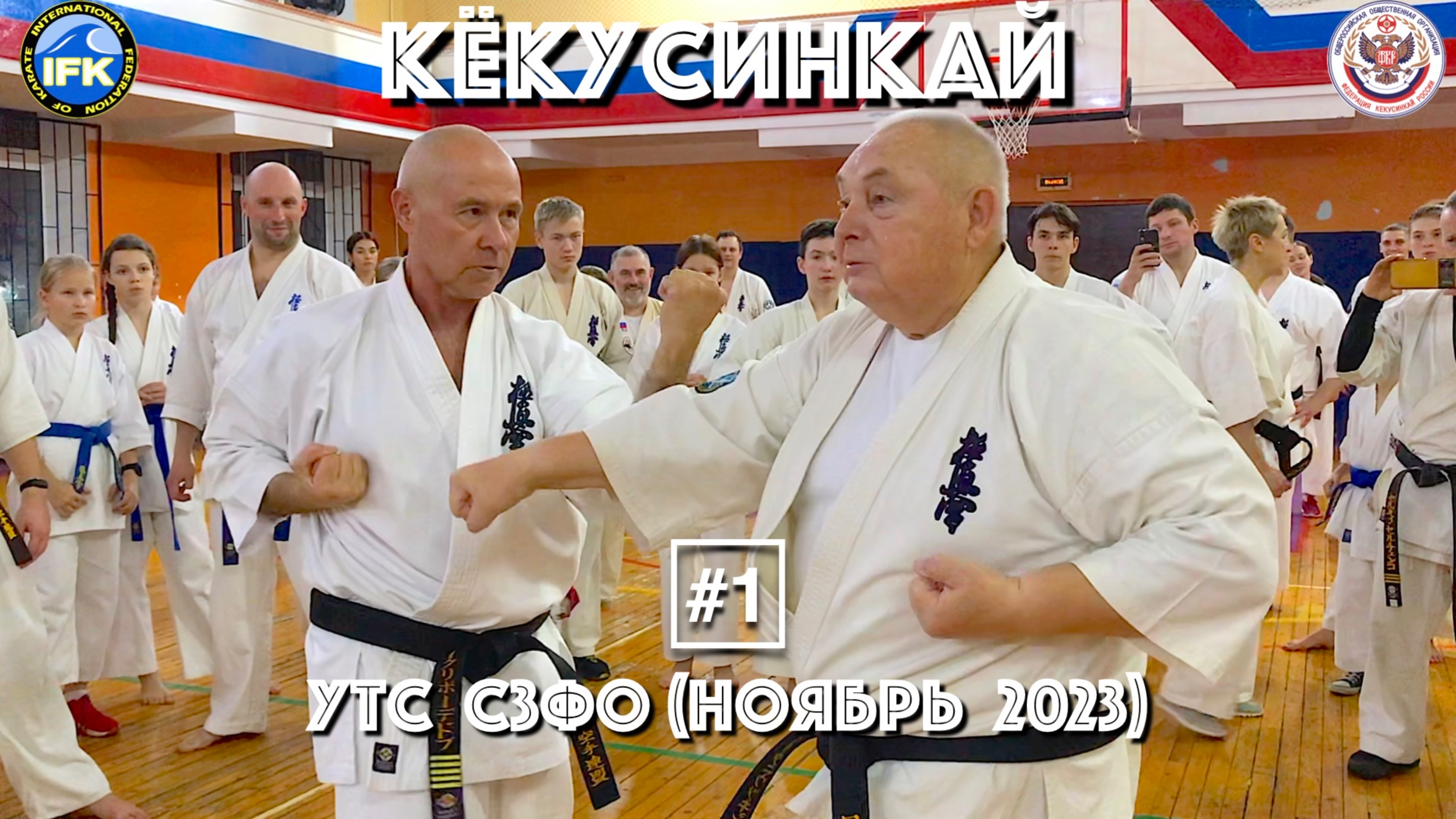 Кёкусинкай / Учебно-тренировочные сборы СЗФО / Сихан Танюшкин / Санкт-Петербург (ноябрь 2023) #1