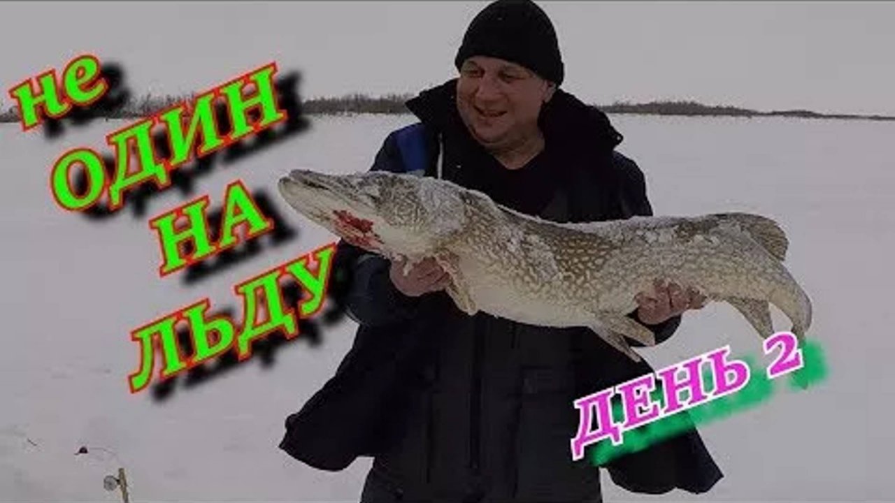не ОДИН НА ЛЬДУ  Рыбалка с ночёвкой  ЗАБЕГАЛИСЬ ПО ЖЕРЛИЦАМ СТОЛЬКО ТРОФЕЕВ Я ЕЩЕ НЕ ЛОВИЛ!!! День 2