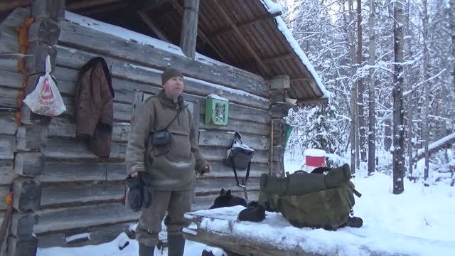 На избу с ночевкой. Охота на куницу капканами. Самоловки. Фотоловушка. Нордик ворует. Заяц.