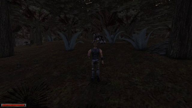 Gothic Walkthrough Part № 17