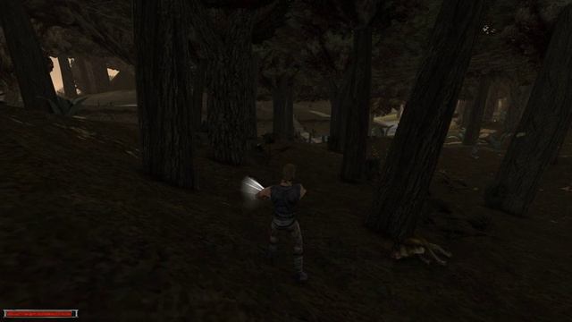 Gothic Walkthrough Part № 20