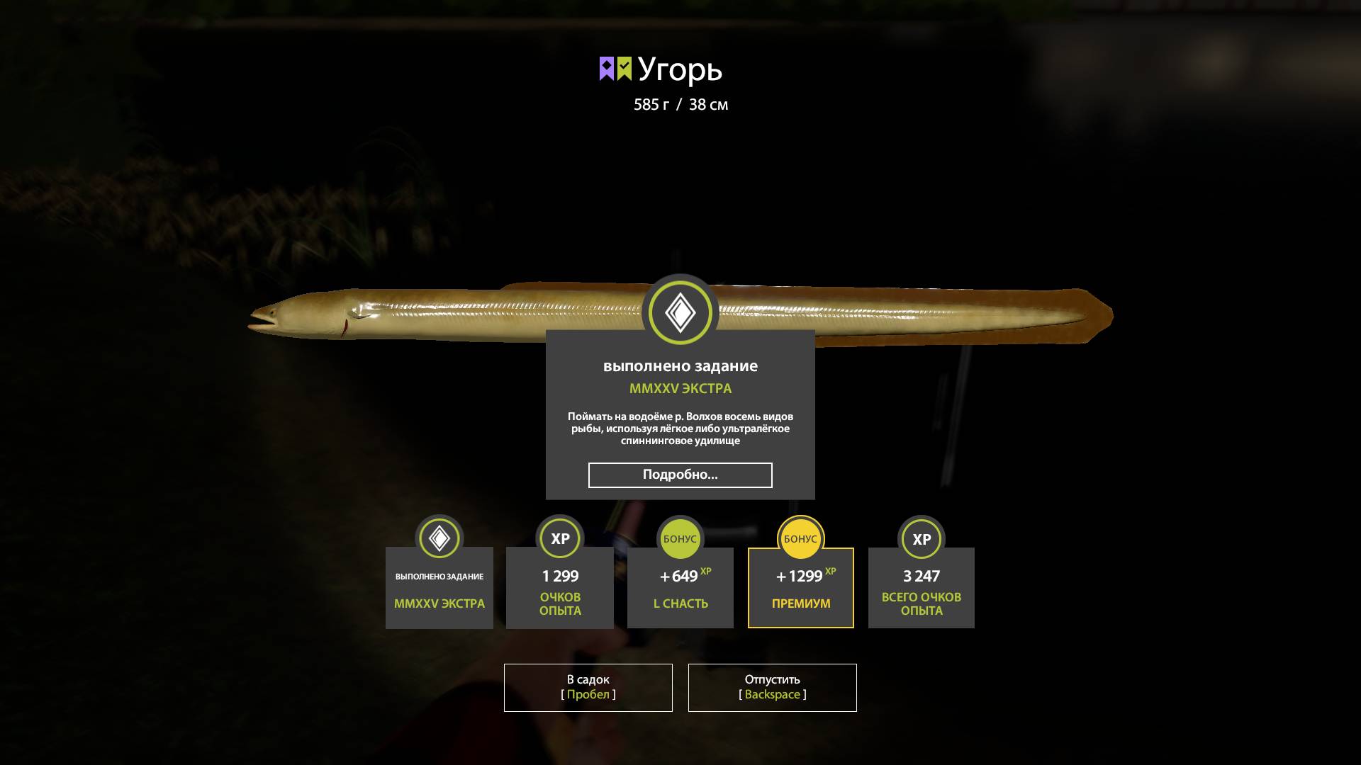 Русская рыбалка 4 р.Волхов